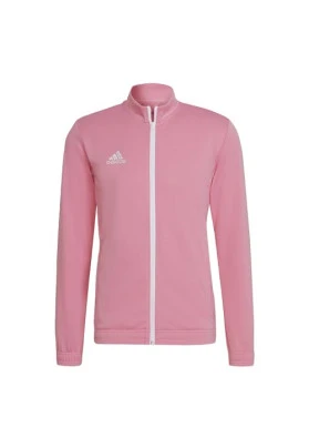 Chaqueta de pista adidas Entrada 22