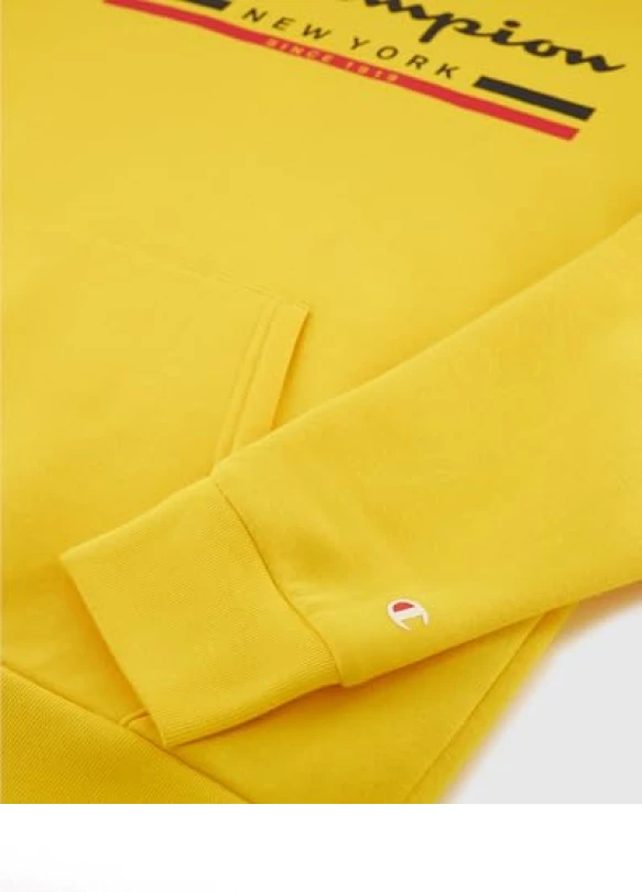 4_Sudadera con capucha Champion Legacy Powerblend Fleece para hombre