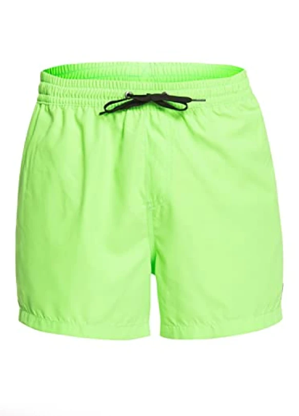 1_Short de natación Quiksilver Everyday 15