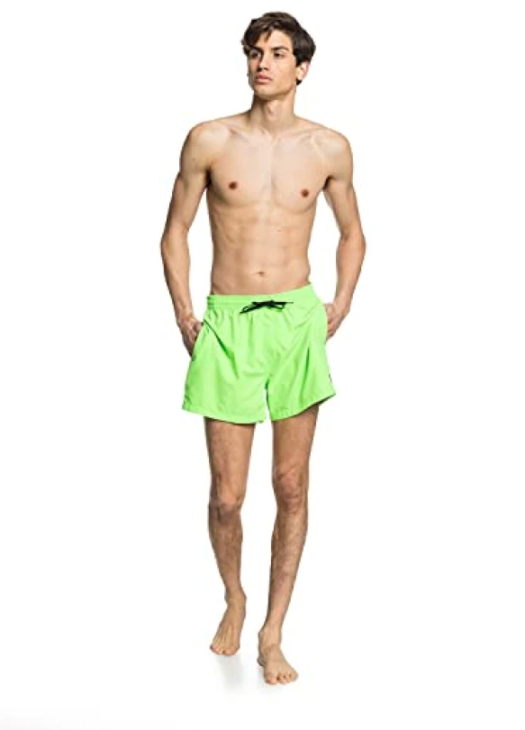 5_Short de natación Quiksilver Everyday 15