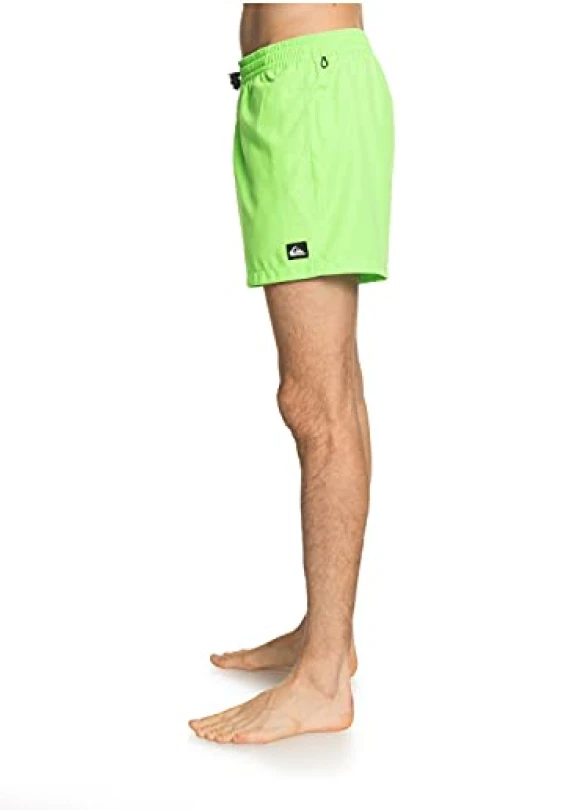 4_Short de natación Quiksilver Everyday 15