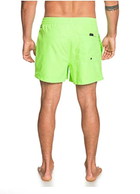 3_Short de natación Quiksilver Everyday 15