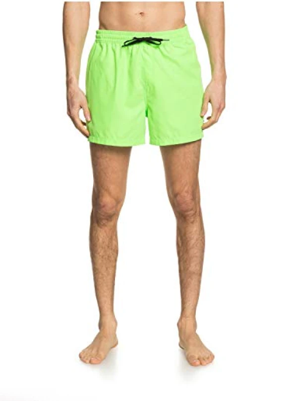 2_Short de natación Quiksilver Everyday 15
