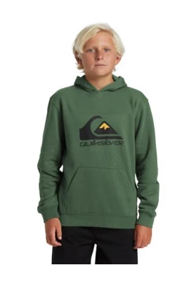 Sudadera con capucha Quiksilver Big Logo para chicos