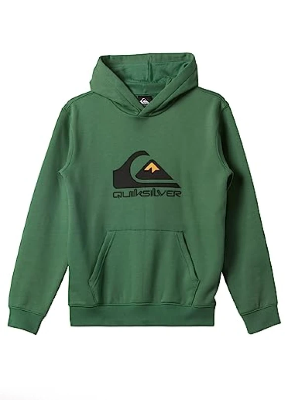 5_Sudadera con capucha Quiksilver Big Logo para chicos