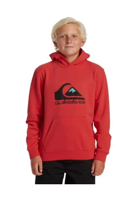 Sudadera con capucha Quiksilver Big Logo para chicos