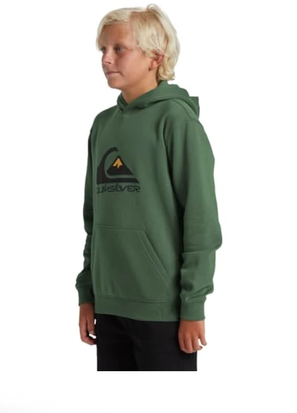 2_Sudadera con capucha Quiksilver Big Logo para chicos